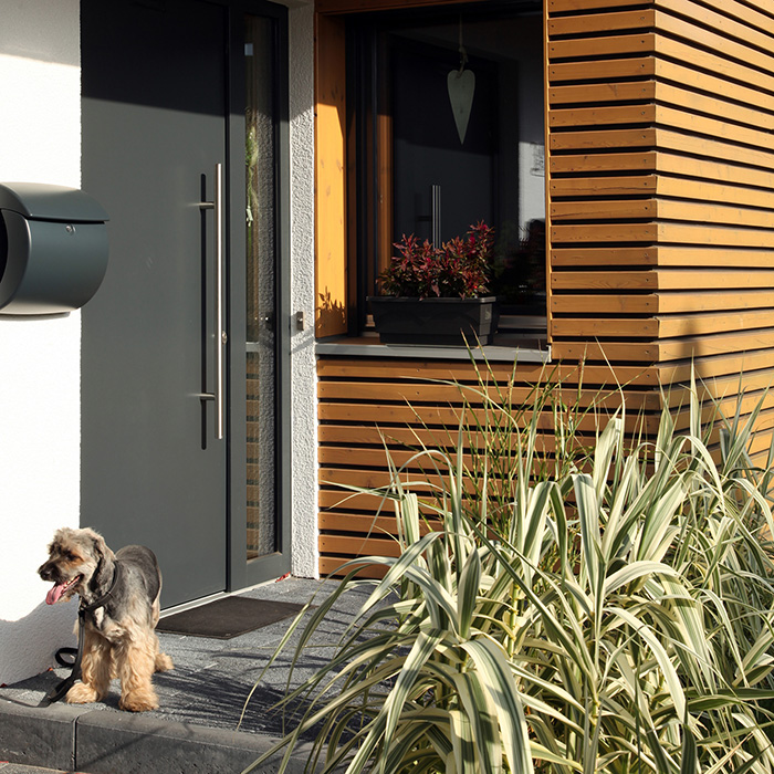 Dr. Hahn – Giải pháp cho mọi tình huống